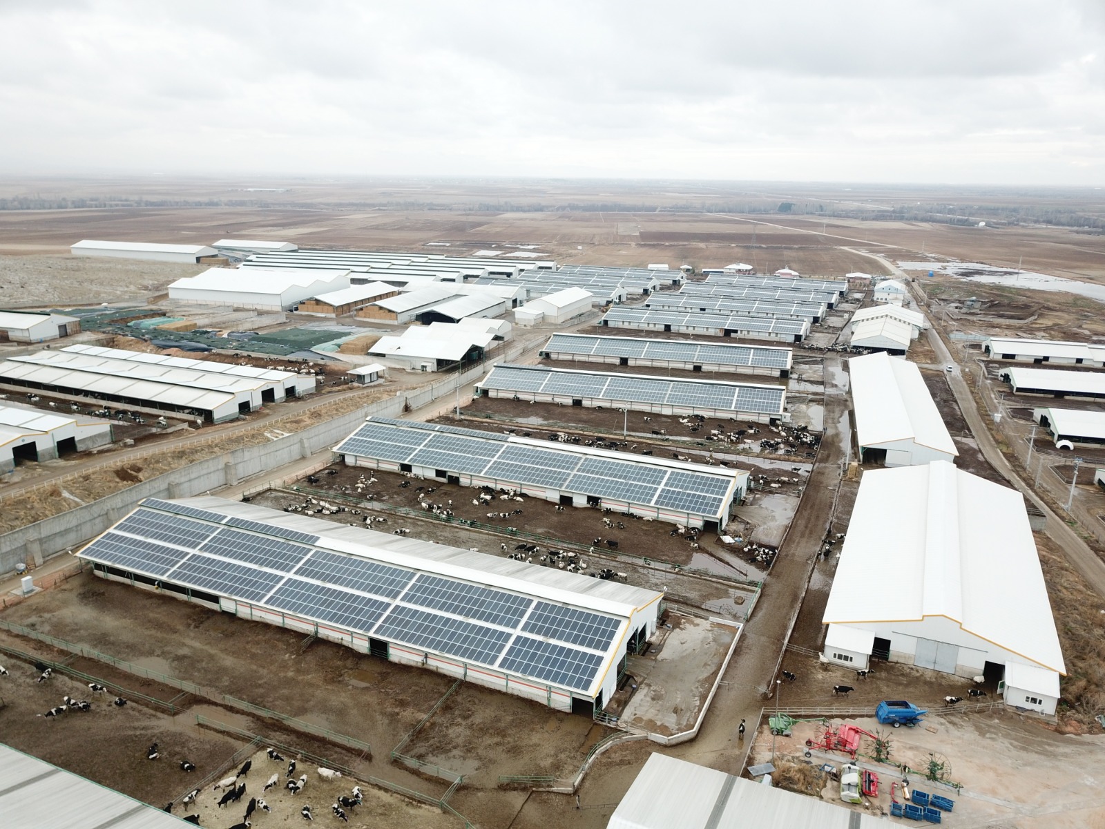 WhatsApp Image 2021-07-03 at 21.19.00